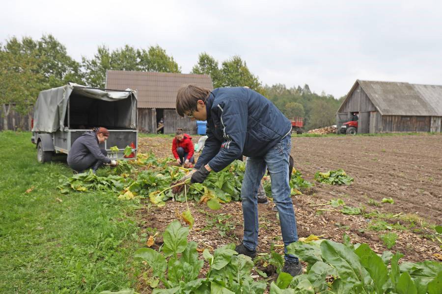 „Wir leben eng mit der Natur, arbeiten mit den Händen und haben hier diesen Hof mit Tieren und eigenem Gemüse“, beschreibt Bruder Egidijus die Lebensweise der sieben Ordensleute. Dieses einfache Leben könne den jungen Menschen ein Beispiel sein. Und weil Franziskus als „Öko-Heiliger“ eben jenes Leben verkörpere, gebe es auch bei den „Franziskus Wochenenden“ Katechesen zum Thema Natur, Ökologie und Umweltbewusstsein.<br><small class="stackrow__imagesource">Quelle: Markus Nowak </small>