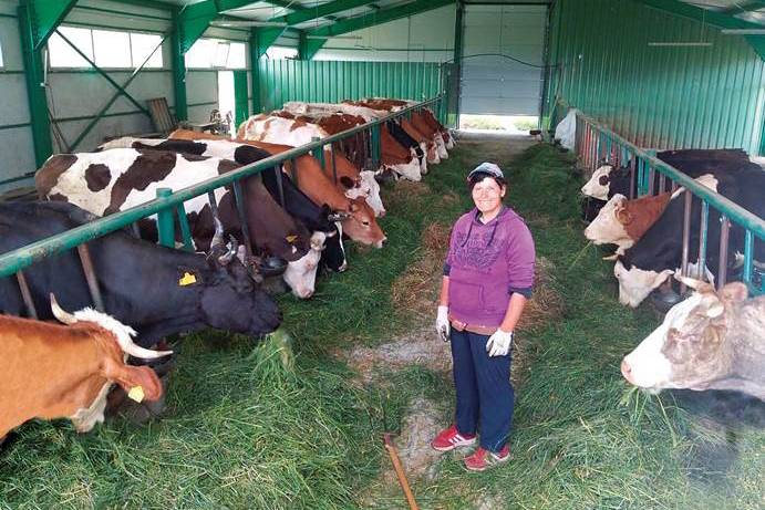Ein kleiner Betrieb in einem rumänischen Bergstädtchen beschreitet neue Pfade: Der sozialwirtschaftliche Milchviehbetrieb Câmpulung hat es sich zum Ziel gesetzt, mit naturnaher Landwirtschaft zur Bewahrung der Schöpfung beizutragen - und damit Arbeitsplätze zu schaffen für benachteiligte Menschen. Die Pflege der Kühe übernehmen die Mitarbeiter Augustin, Marian und Elena. Alle drei hatten es in ihrem bisherigen Leben nicht leicht. Augustin ist 58 Jahre alt, war lange arbeitslos und hat hier wieder eine Aufgabe bekommen, die ihn erfüllt. Der 55jährige Marian arbeitet in Teilzeit als Tierpfleger, damit er sich um seine kranke Frau kümmern kann. Elena (37 - im Bild) hilft bei der Versorgung der Kühe, sie hat in einer geschützten Unterkunft der Caritas Câmpulung ein neues Zuhause gefunden.<br><small class="stackrow__imagesource">Quelle: privat </small>